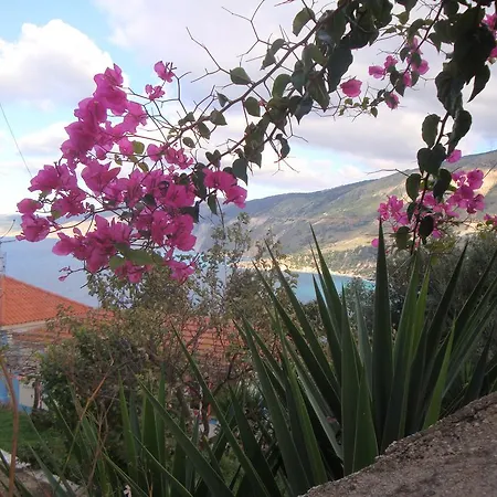 מלון דירות Rogakia Village Est. 1983 Zóla