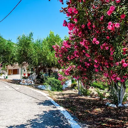 Rogakia Village Est. 1983