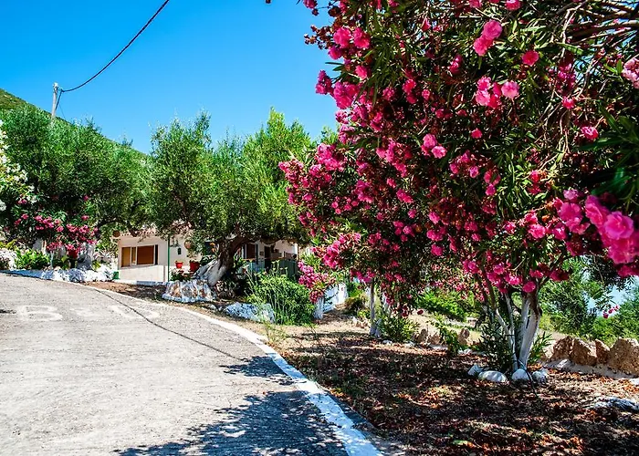 Rogakia Village Est. 1983