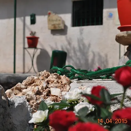 Rogakia Village Est. 1983