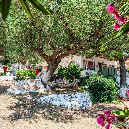 Aparthotel Rogakia Village Est. 1983 *