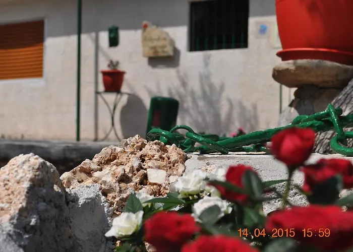 Rogakia Village Est. 1983