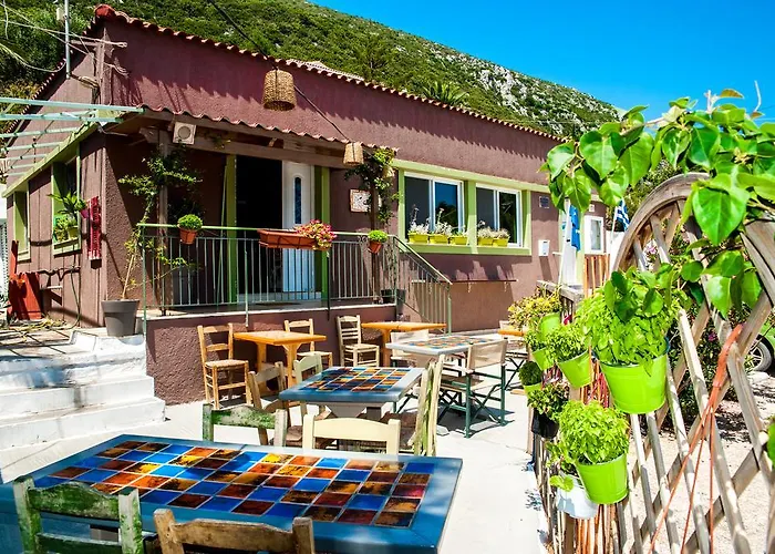 Rogakia Village Est. 1983 Zola